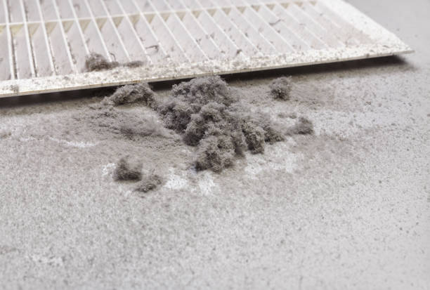 Best Local Air Duct Cleaning Services  in Presidio, TX